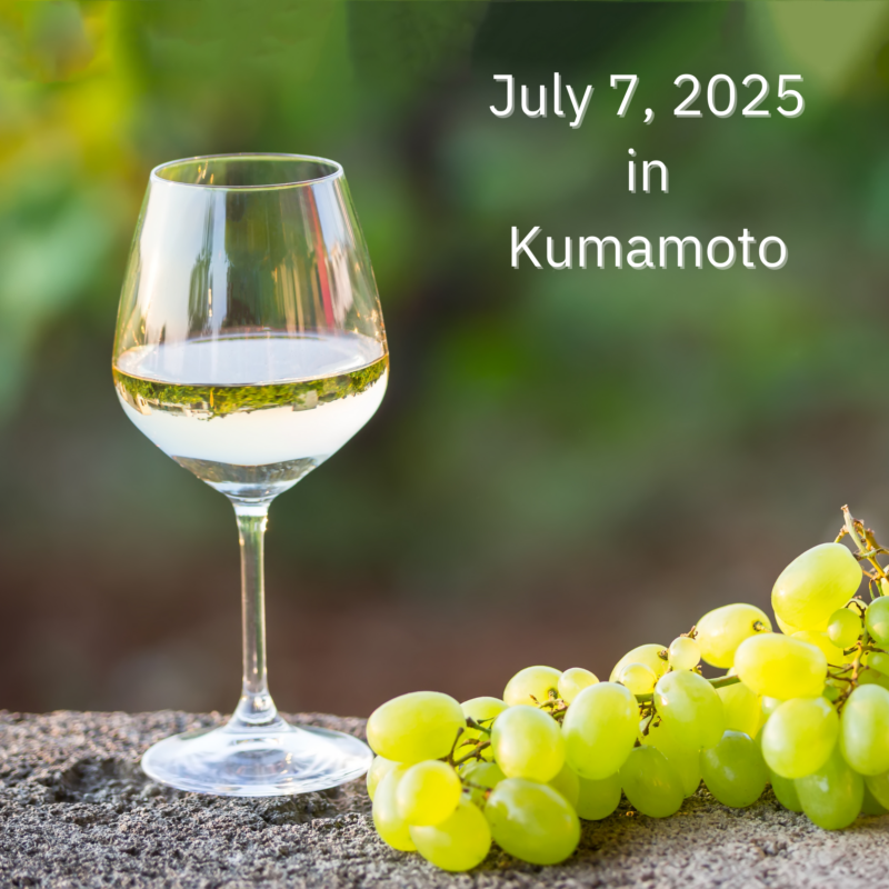 イタリアワイン試飲会のご案内2025年7月7日@熊本